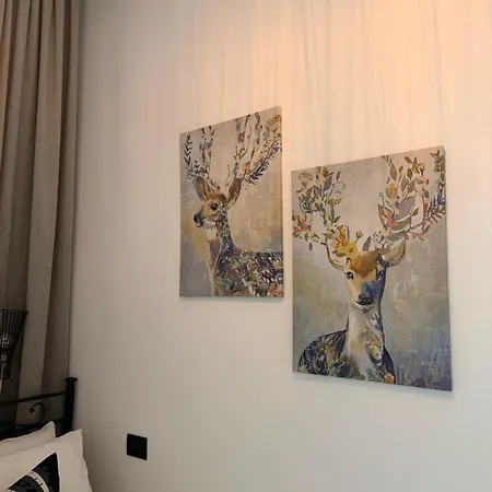 Nel Cuore Di Genova-centro Storico Bed & Breakfast Janov